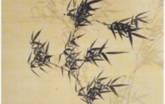 5������ �� �볪�� �׸��� ���, ���� ������ �Ҹ��� ����ȥ���� �Ǿ��